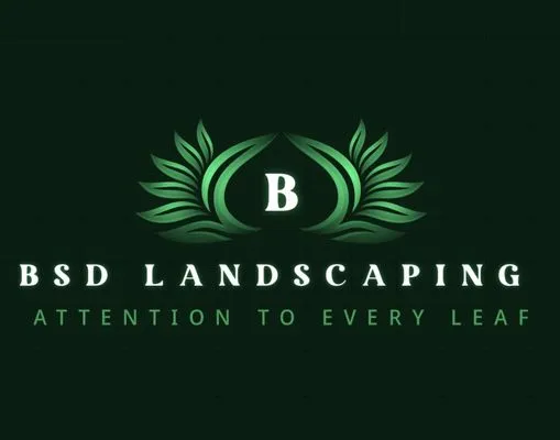 Bsd Landscaping Logo