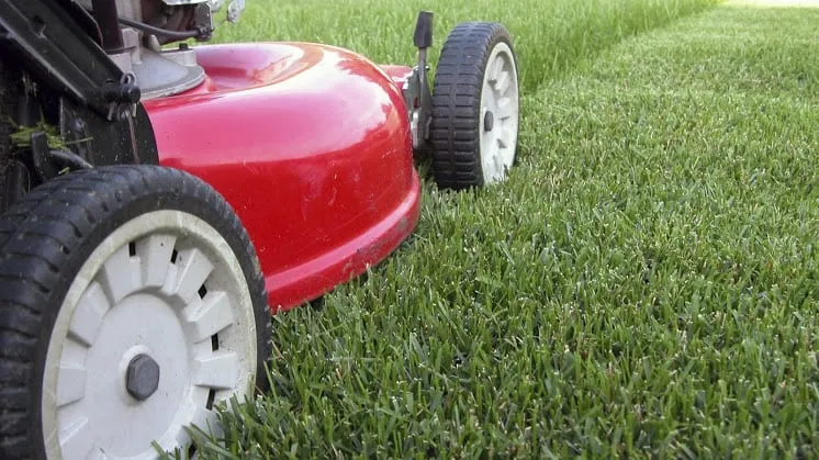 Affordable landscape design in Marlborough, MA - BSE Landscaping