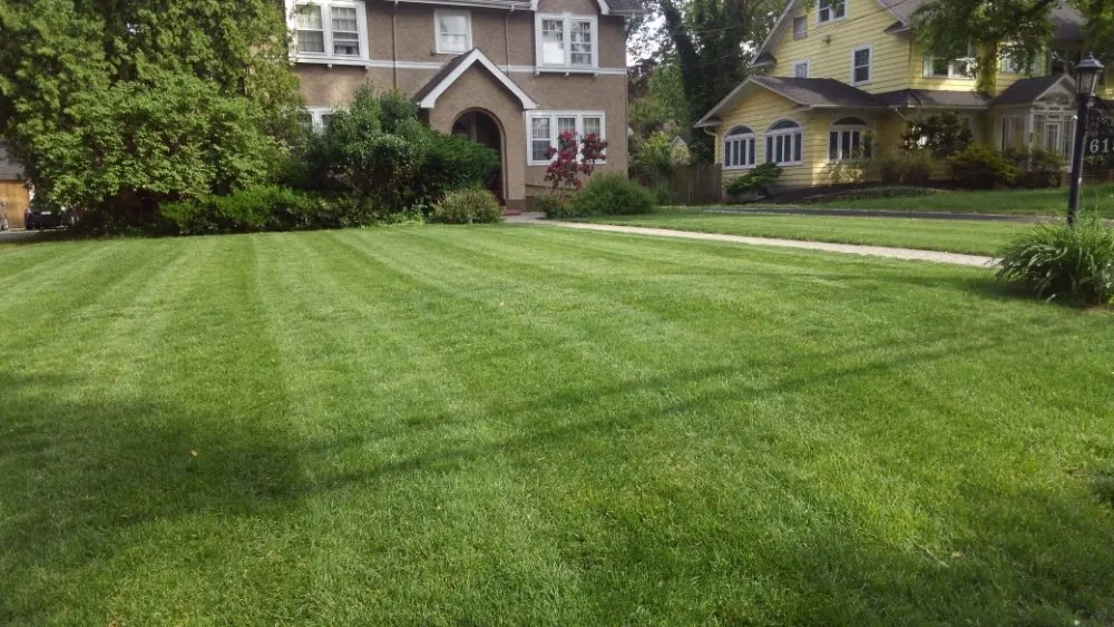 Custom lawn care service for year-round maintenance across Plainfield, NJ - BSE Property Maintenance