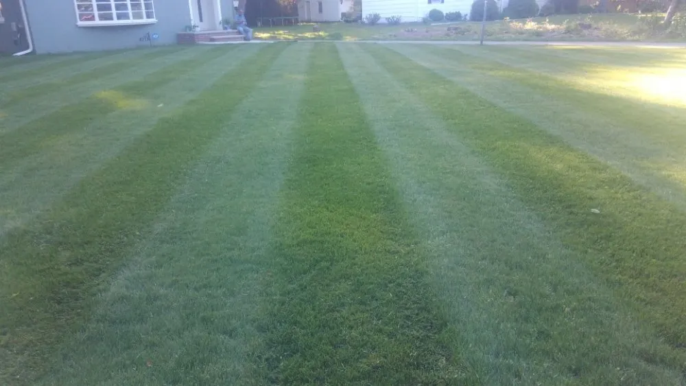 Expert landscaping services in Plainfield, NJ by BSE Property Maintenance