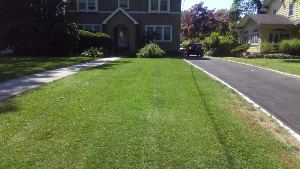 Local landscape design for residential properties in Plainfield, NJ by BSE Property Maintenance