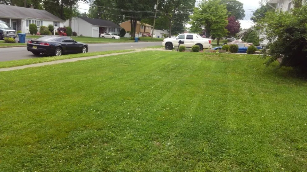 Professional yard cleanup service experts serving Plainfield, NJ - BSE Property Maintenance