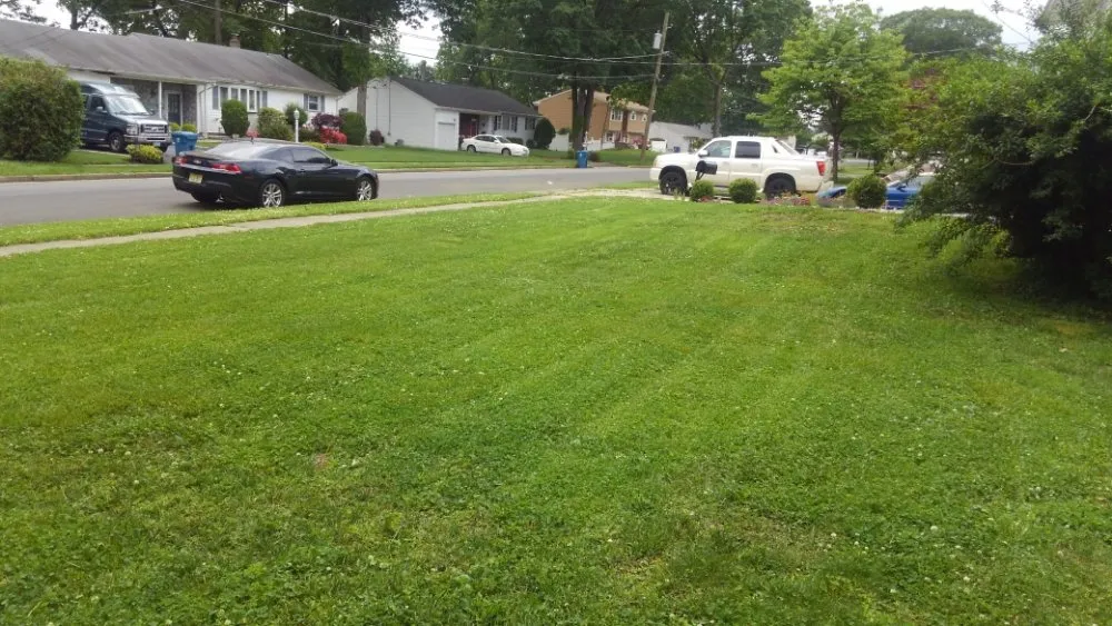 Professional lawn mowing service near you in Plainfield, NJ by BSE Property Maintenance