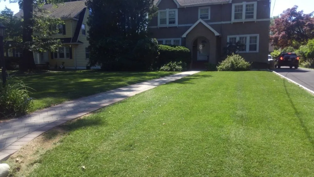 Top-rated lawn mowing service experts serving Plainfield, NJ - BSE Property Maintenance