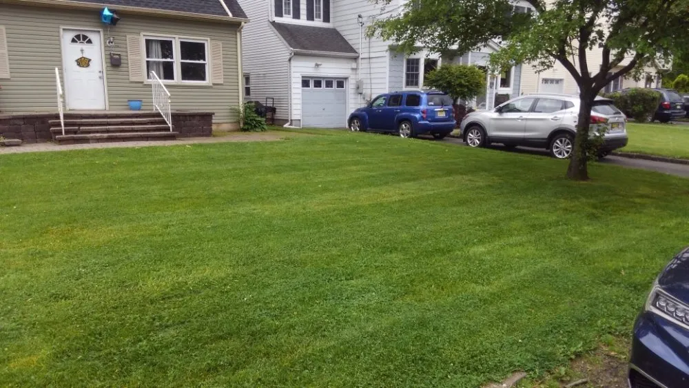 Reliable residential landscaping in Plainfield, NJ - BSE Property Maintenance