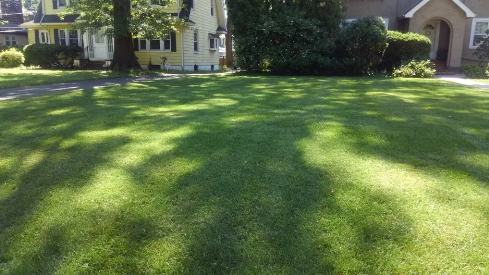 Local outdoor landscaping in Plainfield, NJ by BSE Property Maintenance