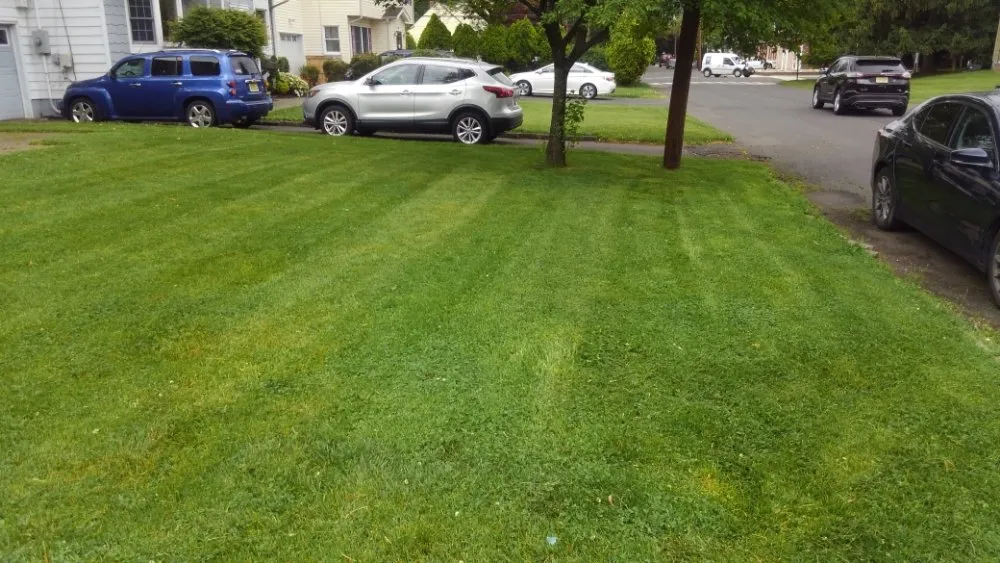 Local outdoor landscaping in Plainfield, NJ - BSE Property Maintenance