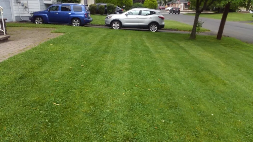 Local residential landscaping near you across Plainfield, NJ - BSE Property Maintenance