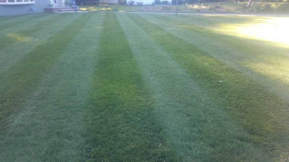 Trusted yard cleanup service in Plainfield, NJ by BSE Property Maintenance