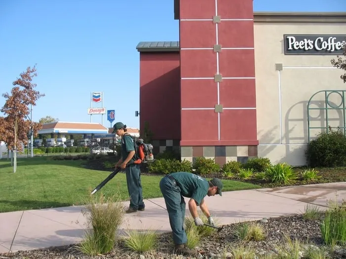 Local yard cleanup service in Concord, CA - BSM Facility Services Group