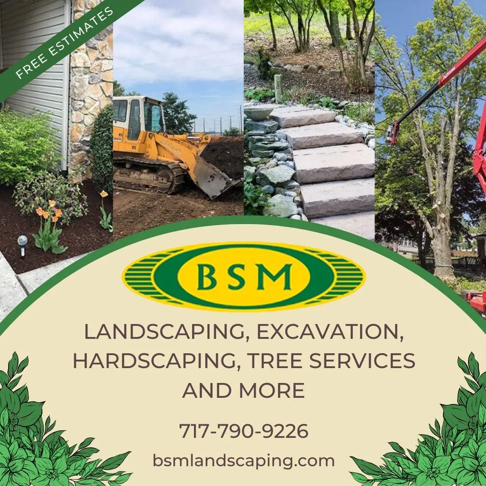 Affordable lawn care service in Mechanicsburg, PA by BSM Landscaping and Tree Services