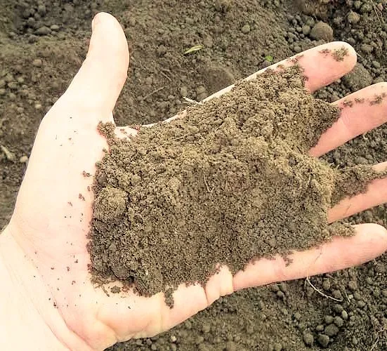 Custom landscape design in Mechanicsburg, PA by BSM Landscaping and Tree Services