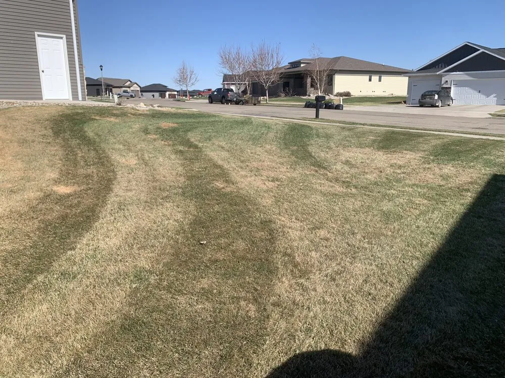Affordable lawn care service experts serving Bismarck, ND - BSMN Enterprise
