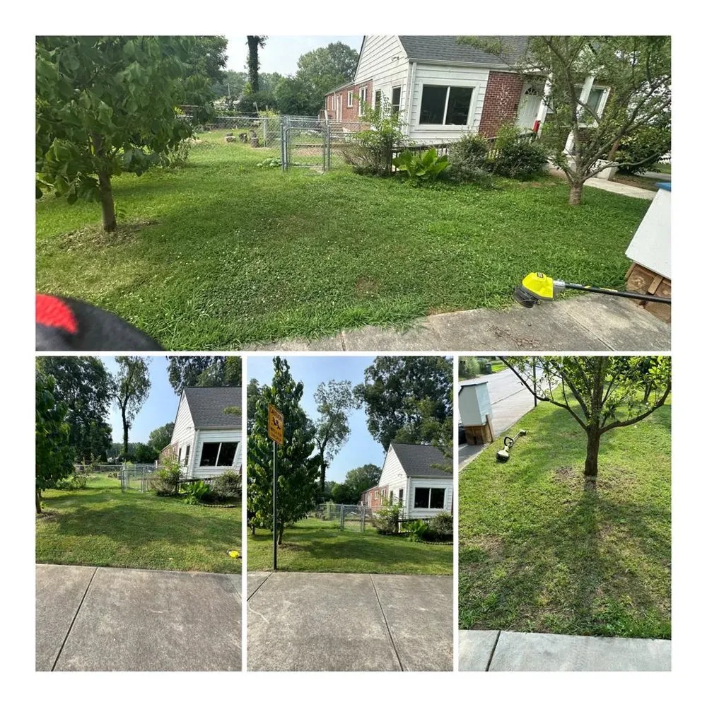 Reliable outdoor landscaping for homes in Atlanta, GA by BSolutions