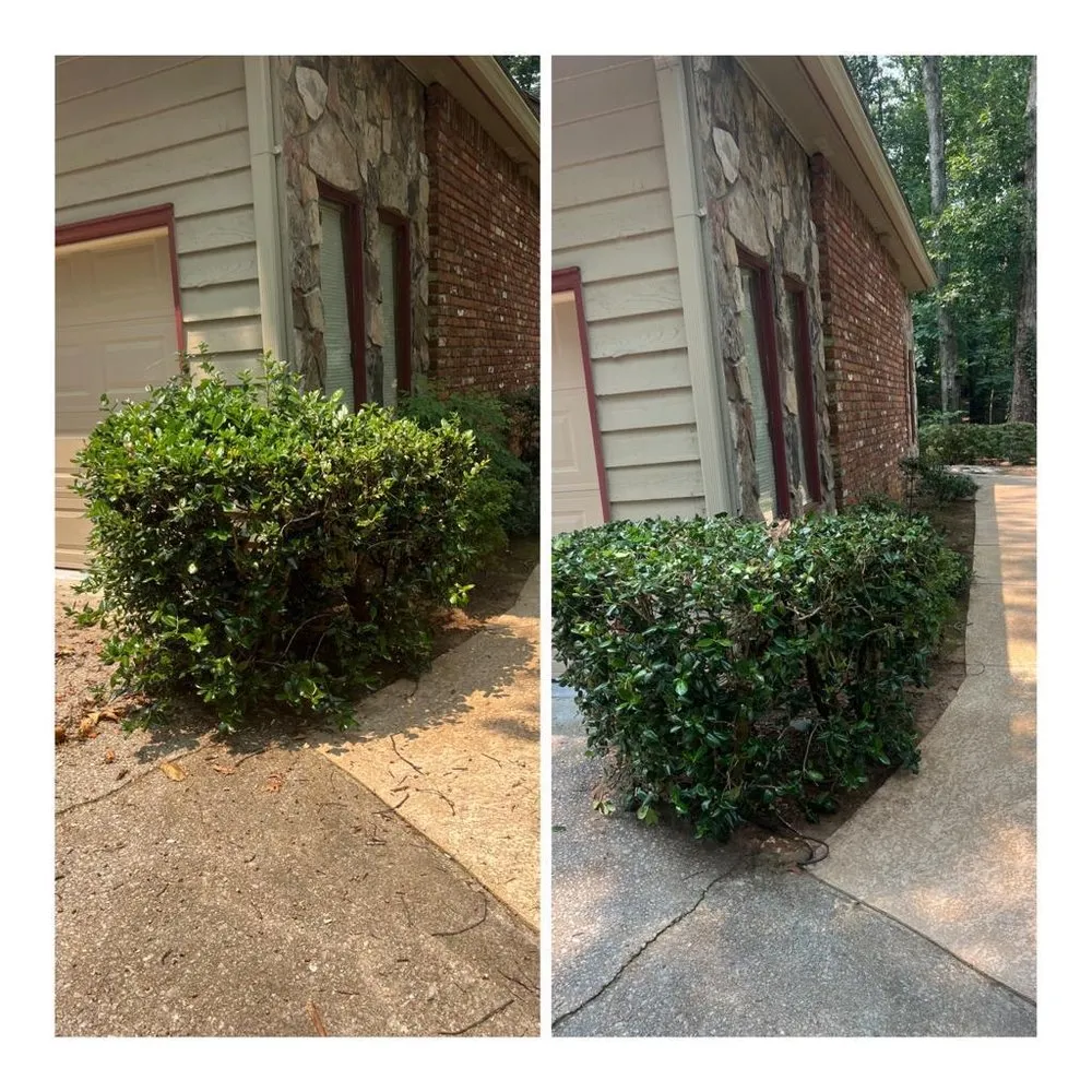 Affordable lawn care service in Atlanta, GA by BSolutions