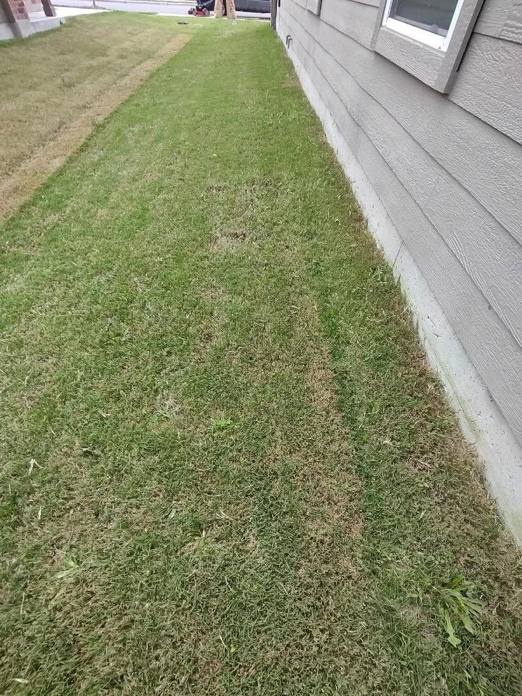Reliable lawn mowing service for homes across Del Valle, TX - BST Lawn Service