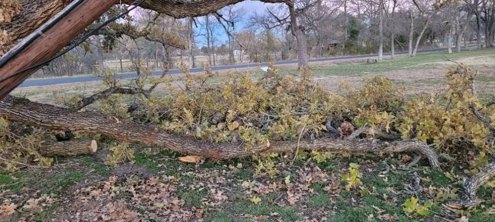 Local garden landscaping for homes across Del Valle, TX - BST Lawn Service