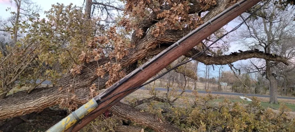 Custom yard maintenance in Del Valle, TX by BST Lawn Service