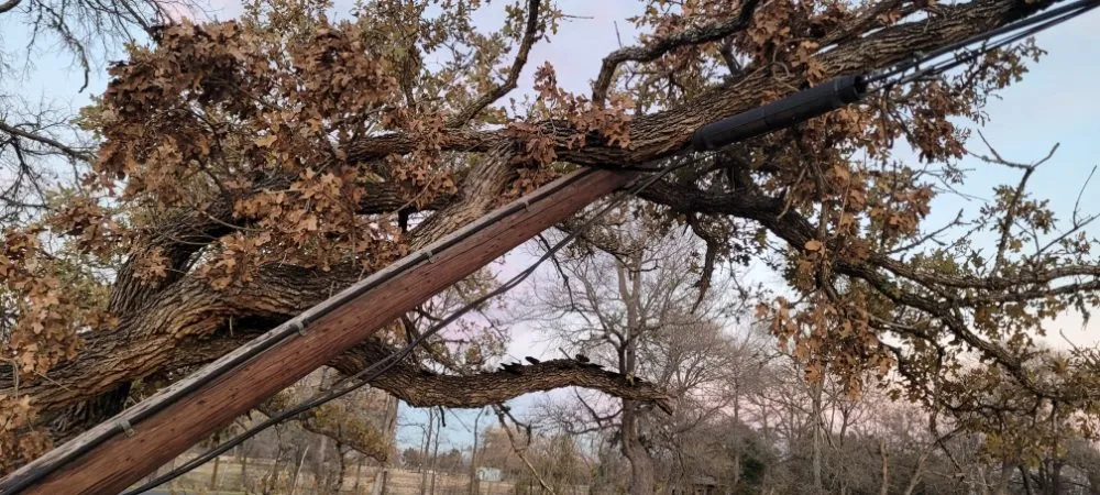 Trusted landscape design in Del Valle, TX by BST Lawn Service