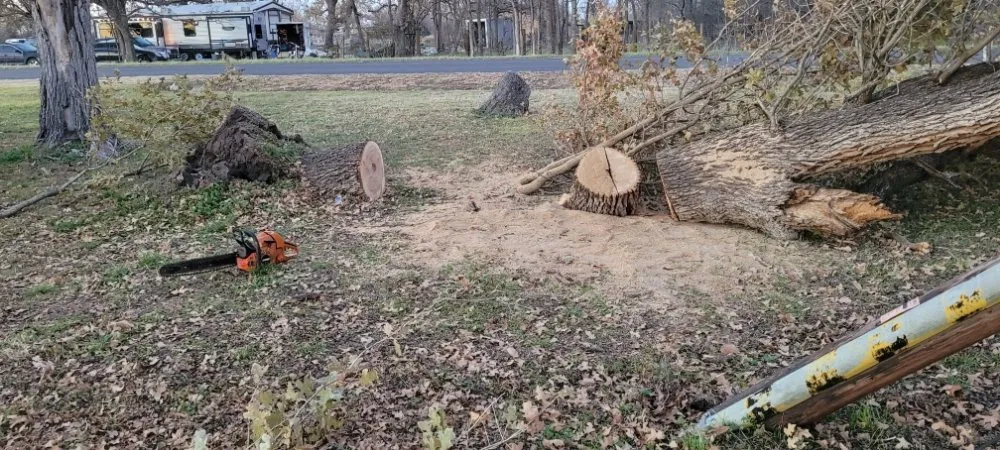 Custom landscaping services experts serving Del Valle, TX - BST Lawn Service