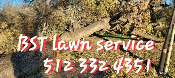 BST Lawn Service Logo