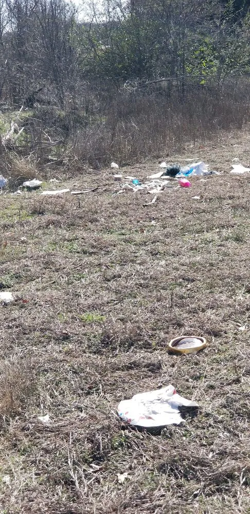 Professional lawn mowing service experts serving Kennedale, TX - BST Mowing