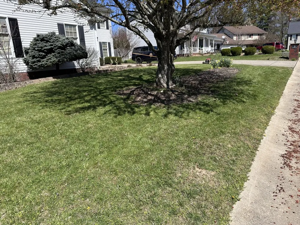 Reliable yard maintenance in Hurricane, WV by BT Cleans