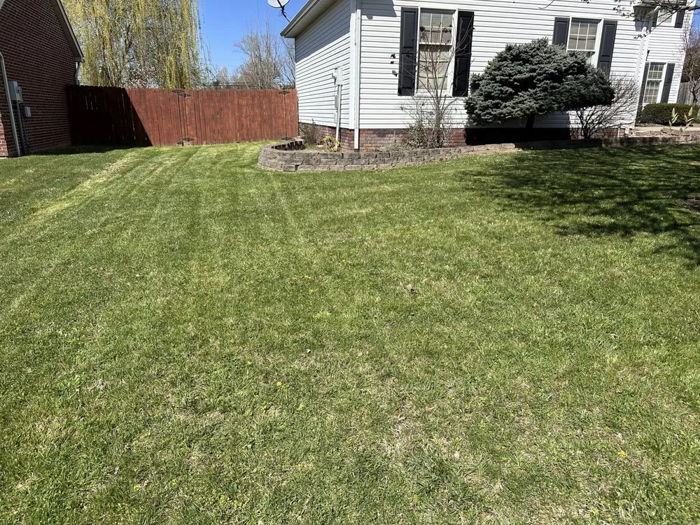 Custom yard cleanup service for residential properties in Hurricane, WV by BT Cleans