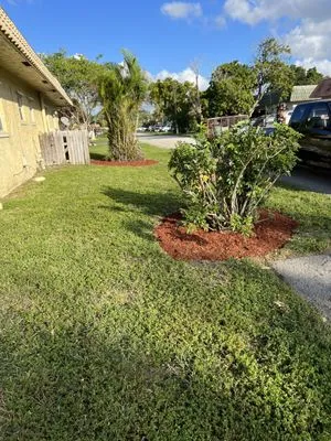 B&T Complete Lawn Care Specialists Logo