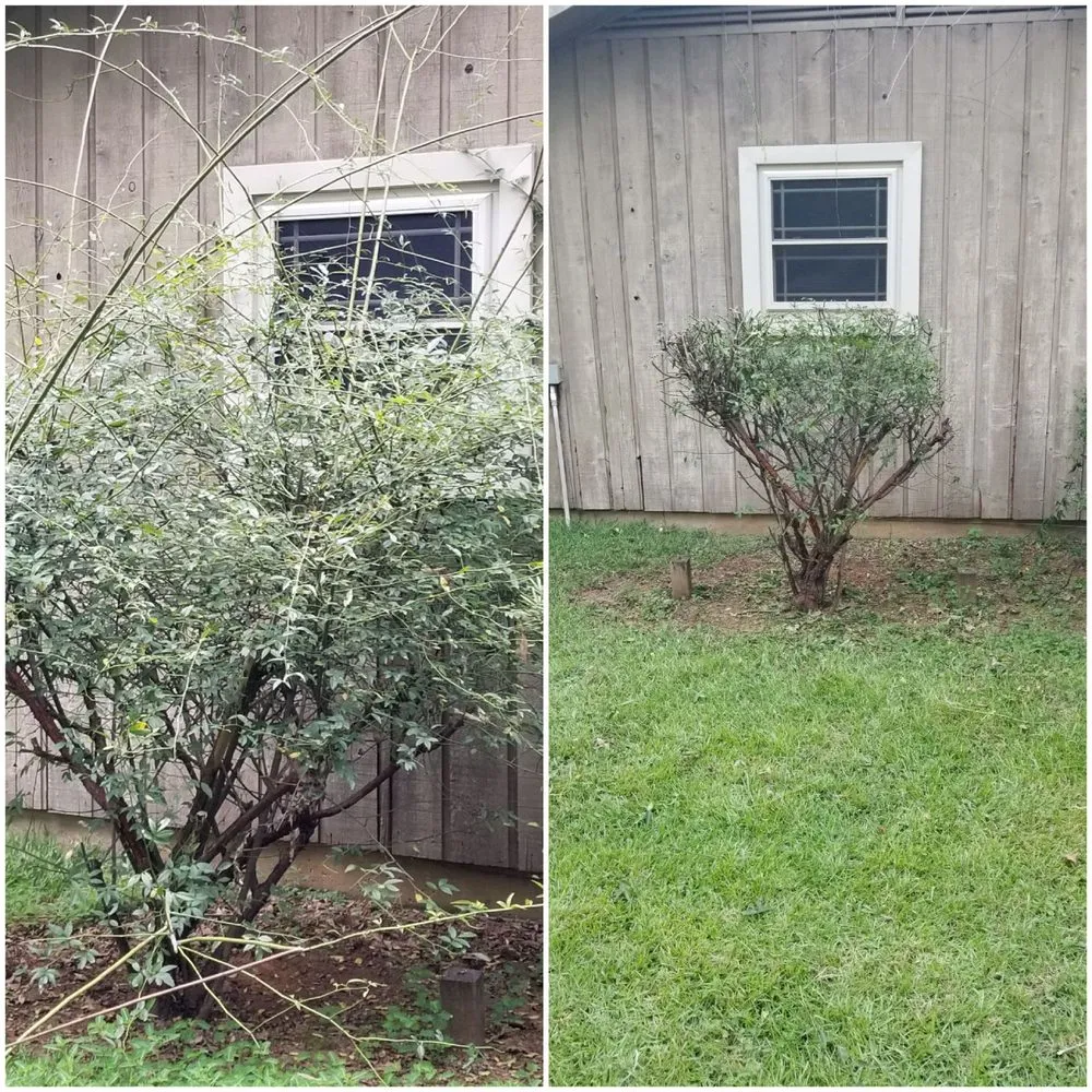 Trusted lawn care service for residential properties across Shreveport, LA - B&T Contracting