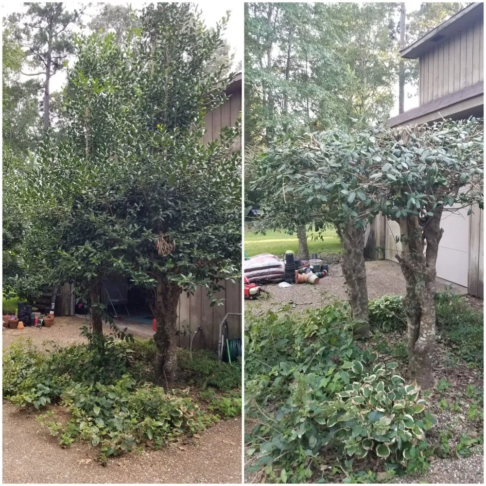 Trusted lawn mowing service for homes in Shreveport, LA by B&T Contracting