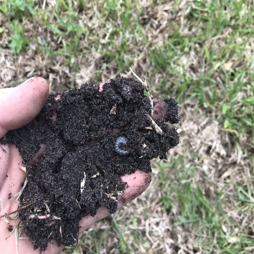 Top-rated yard maintenance near you across Delray Beach, FL - BT Environmental Pest- Lawn