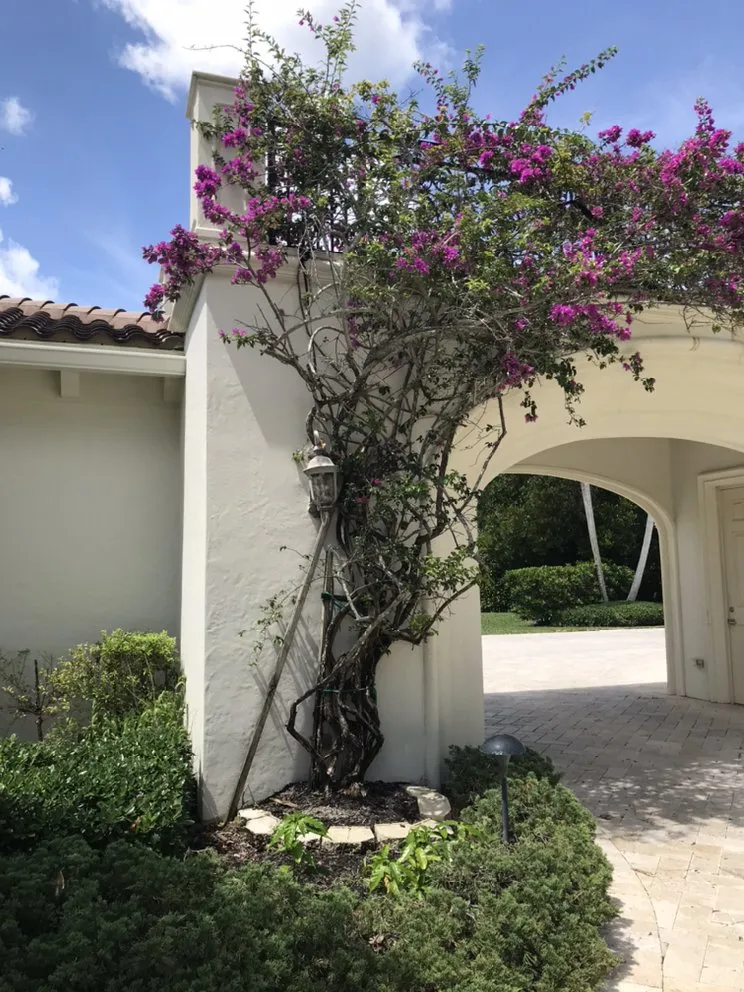 Professional lawn mowing service in Delray Beach, FL - BT Environmental Pest- Lawn