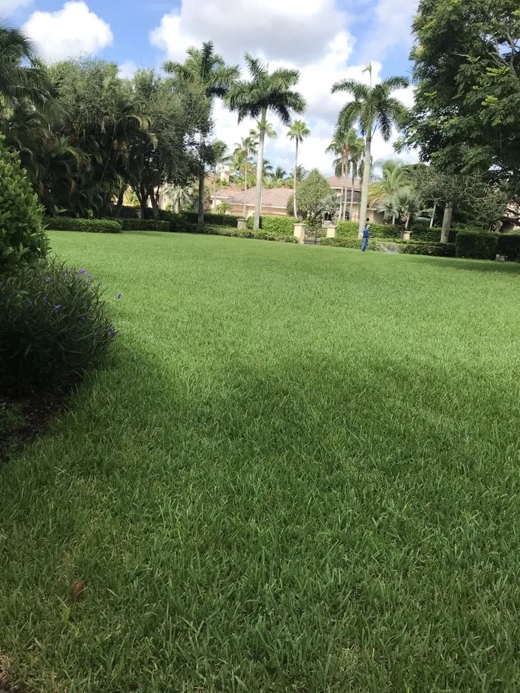 Trusted yard cleanup service in Delray Beach, FL - BT Environmental Pest- Lawn