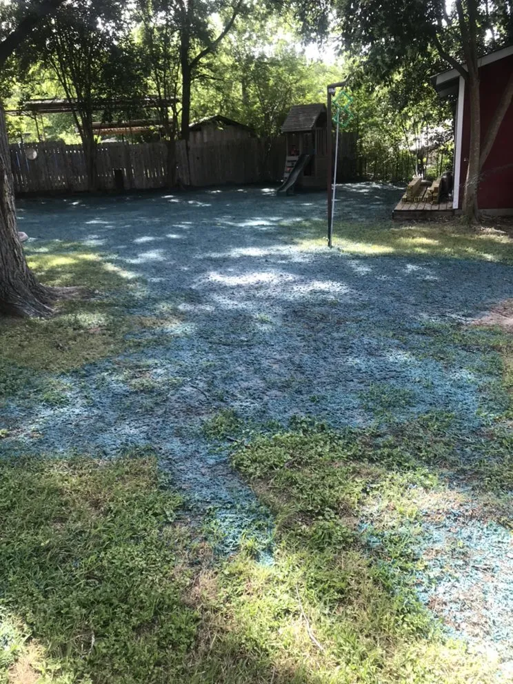 Professional yard cleanup service for homes across Waco, TX - B&T Hydroseeding