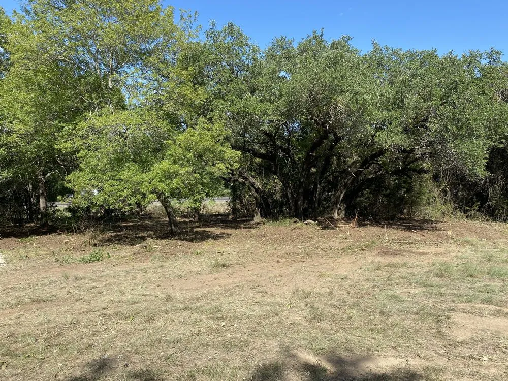 Affordable landscape design for year-round maintenance across Waco, TX - B&T Hydroseeding