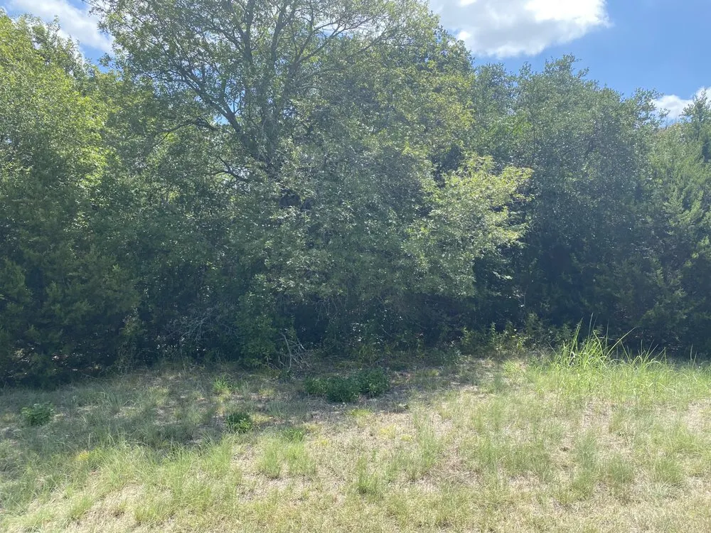 Expert landscaping services experts serving Waco, TX - B&T Hydroseeding