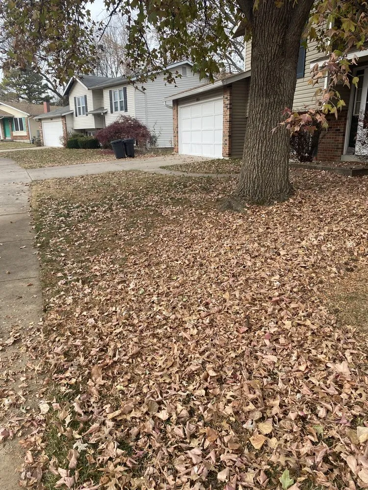 Trusted lawn care service in Florissant, MO by B&T Landscapes