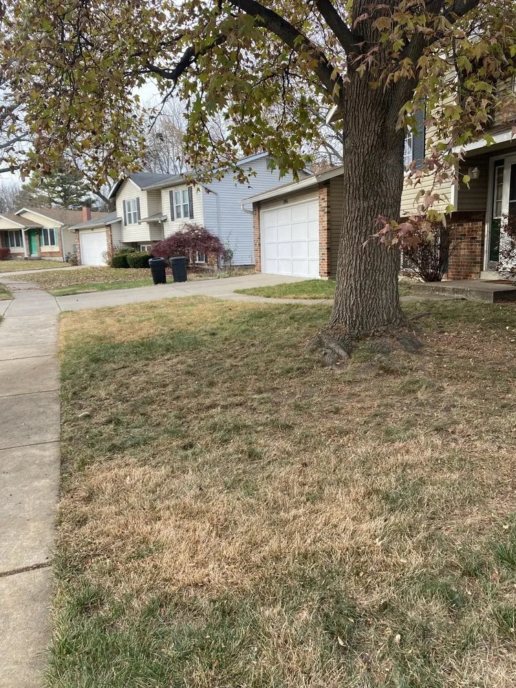 Reliable landscaping services for beautiful yards in Florissant, MO by B&T Landscapes