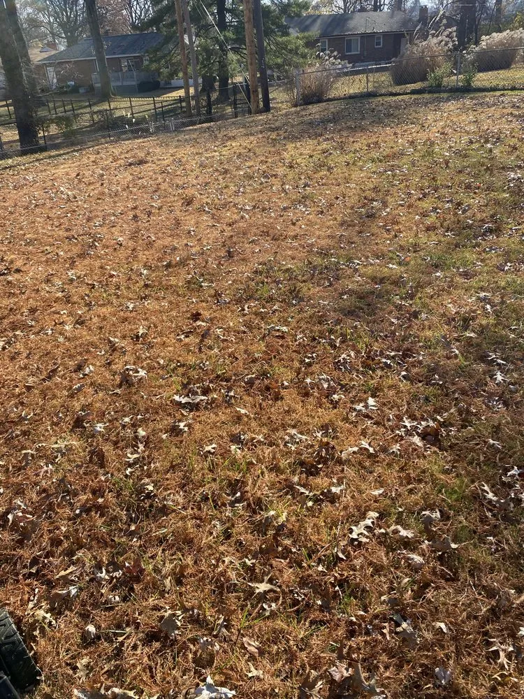 Professional landscaping services for residential properties across Florissant, MO - B&T Landscapes