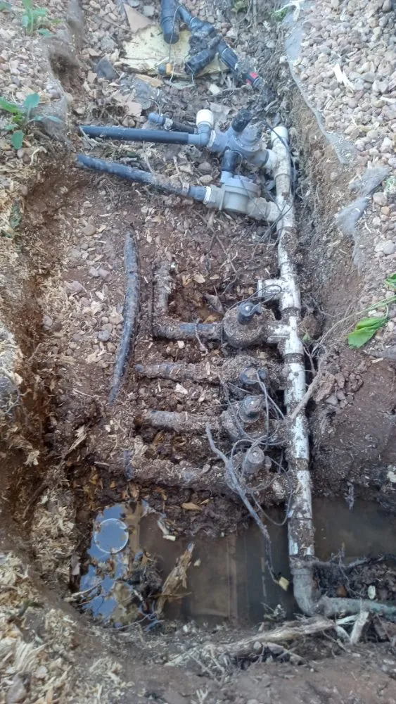 Expert yard cleanup service in Fort Collins, CO by B&T Landscape&Snow Solutions