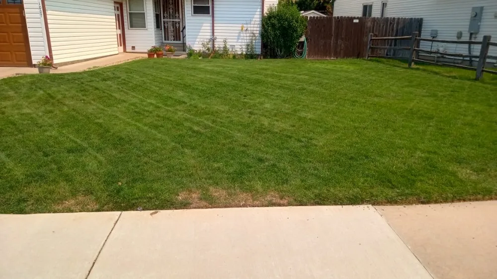 Local landscape design experts serving Fort Collins, CO - B&T Landscape&Snow Solutions