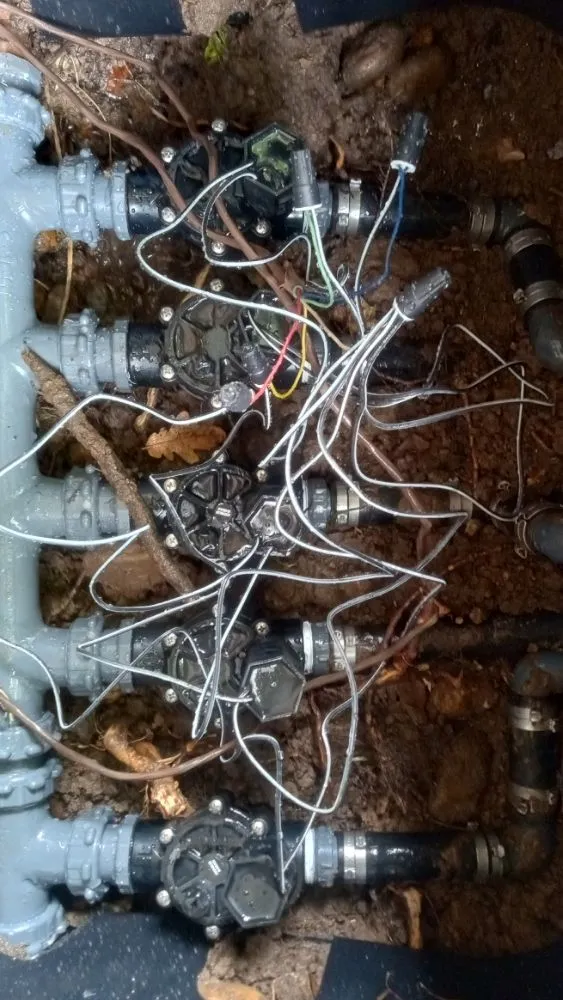 Affordable lawn care service in Fort Collins, CO - B&T Landscape&Snow Solutions