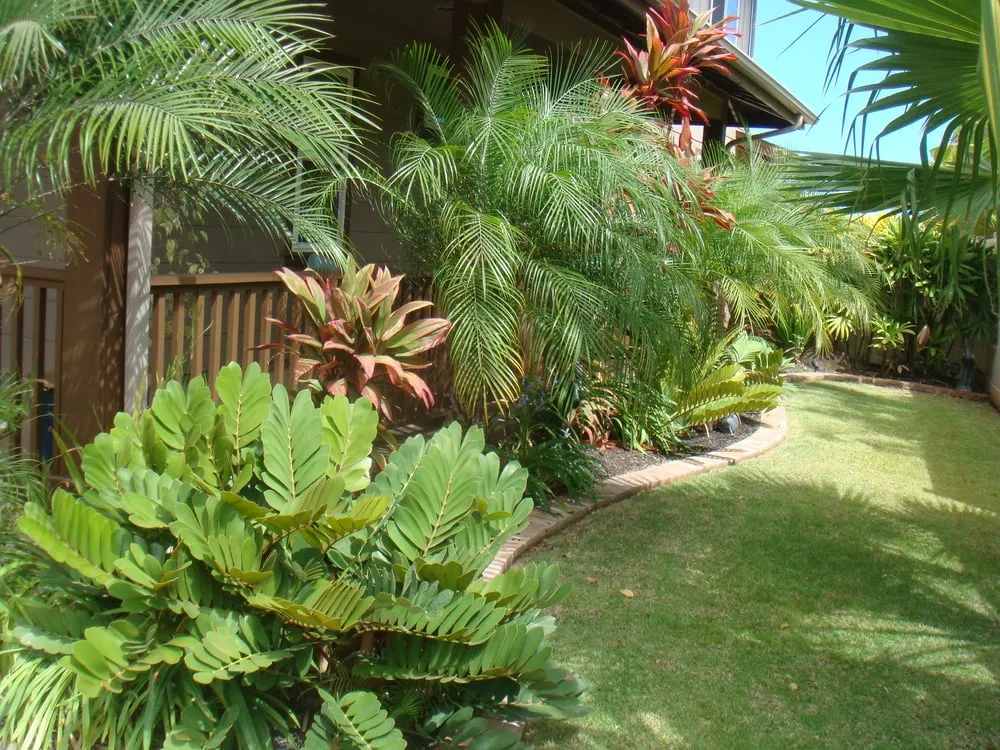 Custom landscape design with custom design in Ewa Beach, HI by BT Landscaping Services
