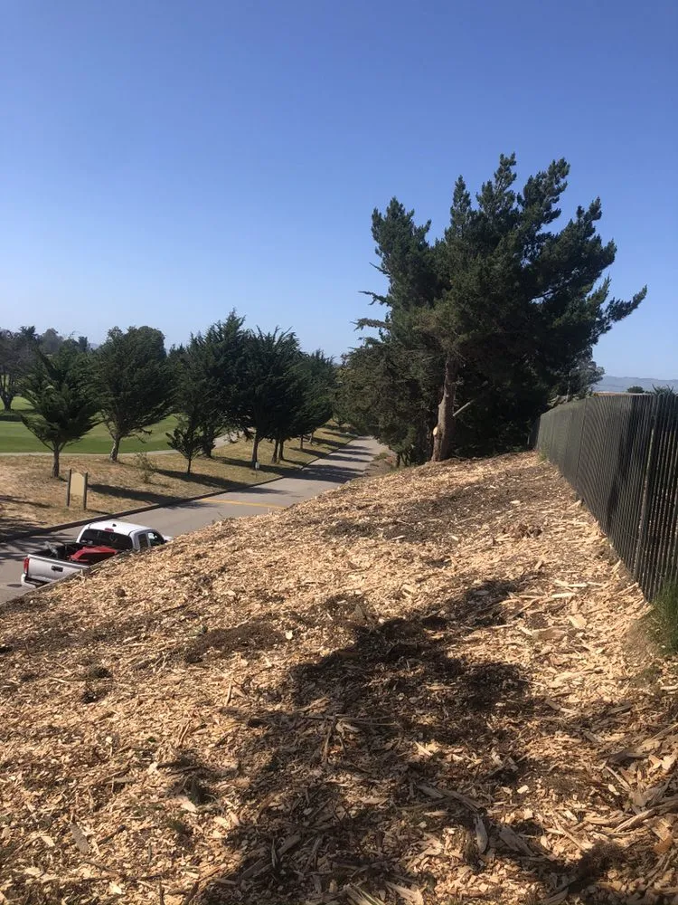 Top-rated yard cleanup service experts serving Corte Madera, CA - B&T Property Maintenance