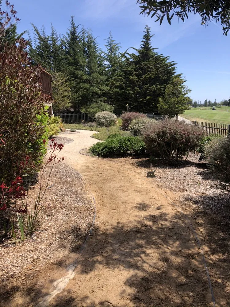 Professional outdoor landscaping for homes across Corte Madera, CA - B&T Property Maintenance
