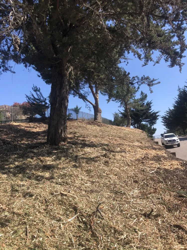 Trusted outdoor landscaping experts serving Corte Madera, CA - B&T Property Maintenance