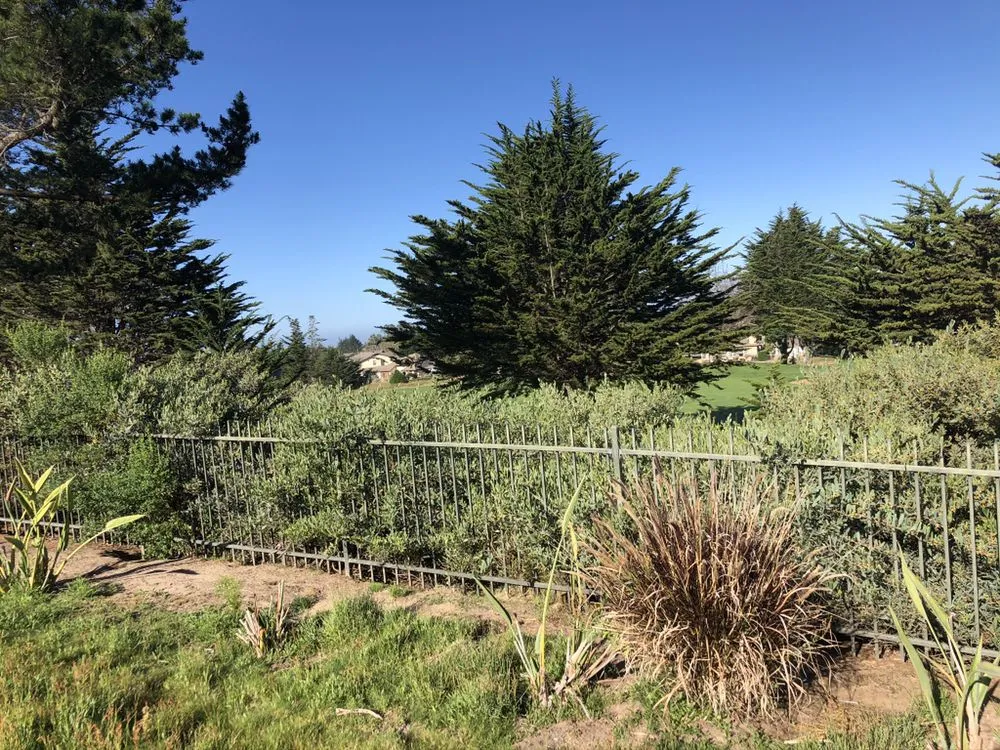 Professional landscaping services for year-round maintenance across Corte Madera, CA - B&T Property Maintenance