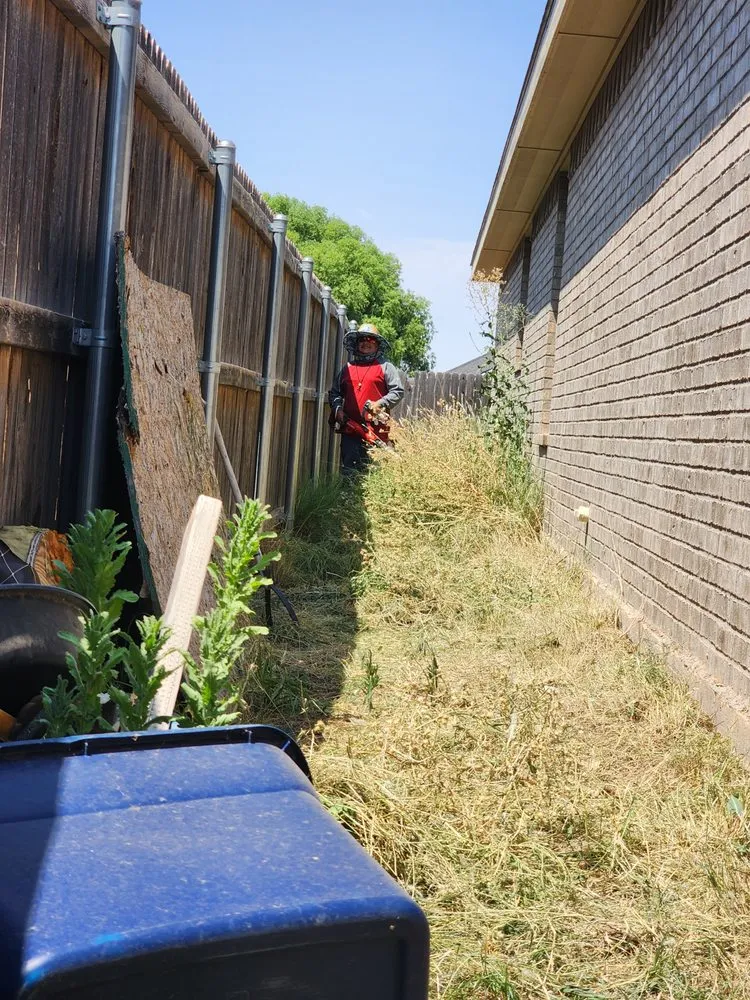 Trusted landscape design experts serving Odessa, TX - BT4 A Mowing Service