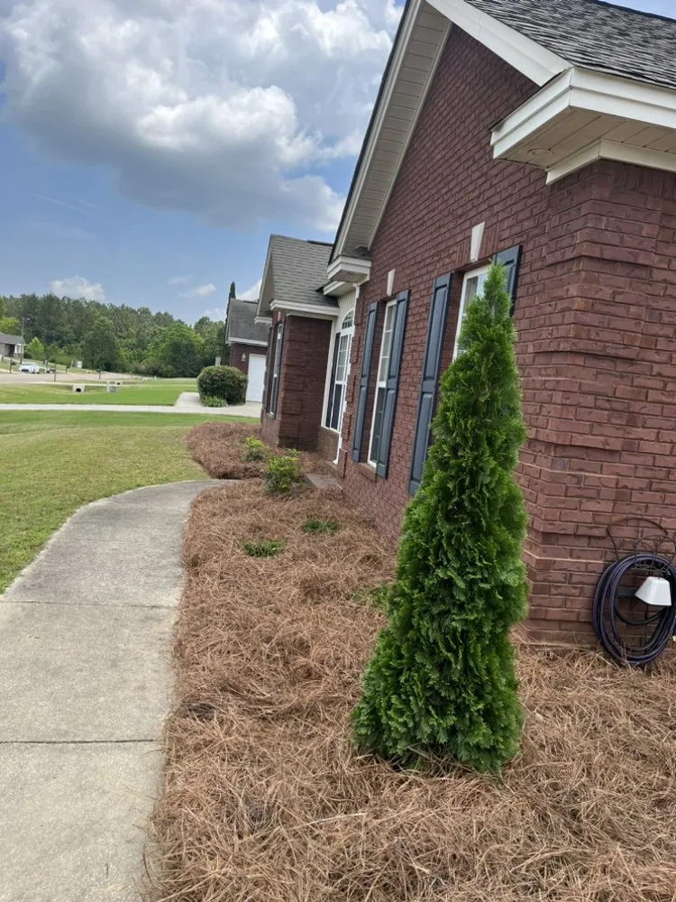 Expert lawn mowing service for homes in Deatsville, AL by BTA Landscape and Lawn Care